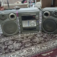ظبط