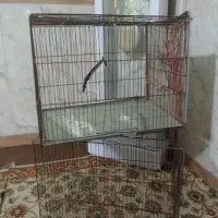 دوعدد قفس سایز بزرگ|لوازم جانبی حیوانات|پاکدشت, پاکدشت (مامازند)|دیوار