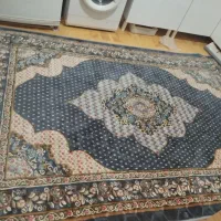 قالی 6متری|فرش|مرودشت, ژیان|دیوار