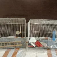 قفس پرنده