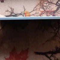 آیپد پرو2022|تبلت|تهران, شمسآباد|دیوار