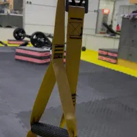 استخدام مربی