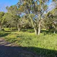 فروش-زمین-750-متری-با-کاربری-مسکونی-سندار