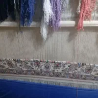 دار قالی|فرش|فولادشهر, B4|دیوار