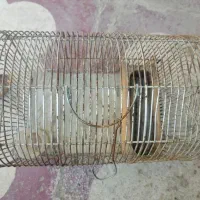 قفس|لوازم جانبی حیوانات|شیراز, کوشک میدان|دیوار