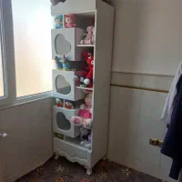 کتاب خانه و ویترین عروسک