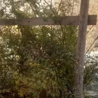 ۲۵۰ متر زمین همراه با ویلا جاده چالوس|فروش خانه و ویلا|آسارا, |دیوار