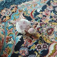 پرنده عروس هلندی مفت