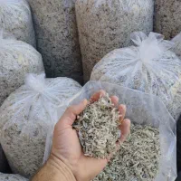 تفاله چغندر|عمده‌فروشی|چهاربرج, |دیوار