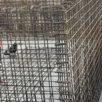 استخدام آرماتوربند و قالب‌بند (پرداخت هفتگی)|استخدام معماری، عمران و ساختمانی|قم, هفت تیر|دیوار