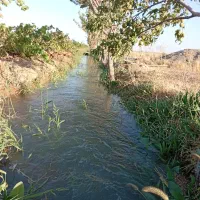 زمین کشاورزی و باغ|فروش زمین و ملک کلنگی|دشتابی, |دیوار