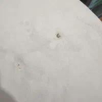 صندلی|صندلی و نیمکت|میانه, |دیوار