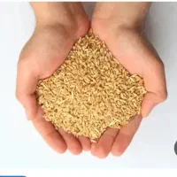 گندم فروشی
