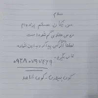 عروس هلندی ، عروس پاریس ، لوتیتو گم شده|حیوانات|اهواز, کوی شاهد|دیوار