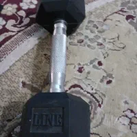 دمبل