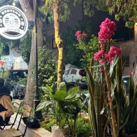 علاقه مند به باریستایی