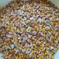 آخرین فرصت خرید آجیل به قیمت تولیدی