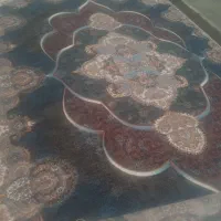 یک تخته فرش 12|فرش|مشهد, شهید شهریاری|دیوار