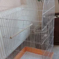 قفس بزرگ و پایه عروس هلندی