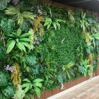 گرینوال استوایی