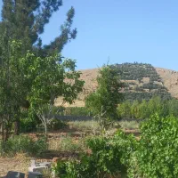 فروش-زمین-انجیره