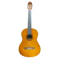 فروش گیتار کلاسیک نو نو کار نکرده|گیتار، بیس، امپلیفایر|ایذه, |دیوار