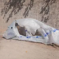رکاب و ستون ۲۰۶ ایساکویی