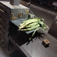 فر ذرت تنوری بخارپز