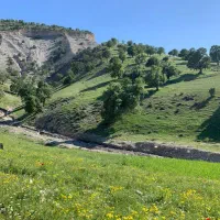هم خونه