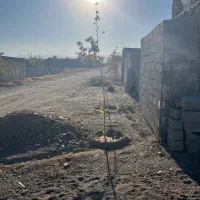 فرح-اباد-زمین-سوران-شاندیز-دوردیوار