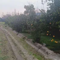 معاوضه زمین با خودرو