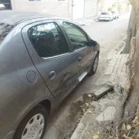 ۲۰۶اس دی وی ۱|خودرو سواری و وانت|بومهن, |دیوار