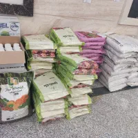 فروش ویژه چالکود زمستانه تا ۲۰ ٪ تخفیف|خدمات باغبانی و درختکاری|نجفآباد, جعفرآباد|دیوار