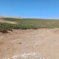 نیازمند کارگر برای گوجه چینی|استخدام صنعتی، فنی، مهندسی|میانه, |دیوار