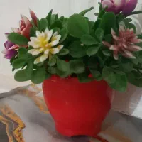 درخت|گل مصنوعی|زابل, |دیوار
