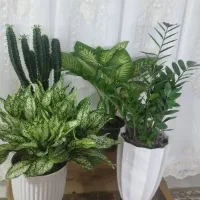 همه مدل گل
