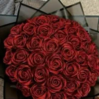 گل روبانی جاودان|گل مصنوعی|کرمان, |دیوار