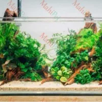 آکواریوم شیشه خم
