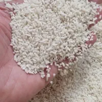 لاشه هاشمی خوش پخت برنج ماسال گیلان|خوردنی و آشامیدنی|هشتگرد, شهرک وحدت|دیوار