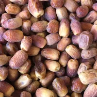حراج خرما زاهدی (قصب)