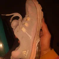 کفش اورجینال تاناکورا