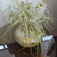 گلدان شیشه‌ای با گل