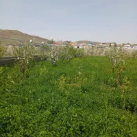 باغ در شهرستان اهر|فروش زمین و ملک کلنگی|اهر, |دیوار
