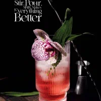 نیازمند نیرو خانم جهت کار در کافه