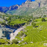 فروش-زمین