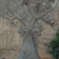 اجرای نما رومی طرح چوب و طرح سنگ|خدمات پیشه و مهارت|دلوار, |دیوار