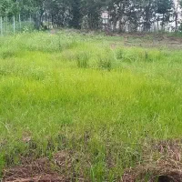 زمین مسکونی منطقه توریستی بیجارسر