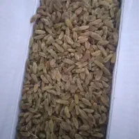 کشمش سبز باغات.|خوردنی و آشامیدنی|قوچان, |دیوار