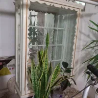 بوفه|بوفه، ویترین، کنسول|بجنورد, |دیوار