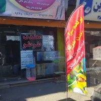 تخفیف ویژه انواع پرنده زینتی